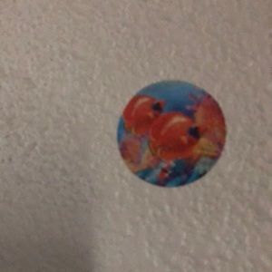 Meet your Posher, Nadya